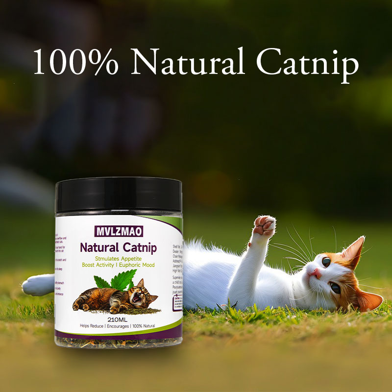 Игрушки для кошек - Silvervine – обзор и цена Herbal Wellness Products